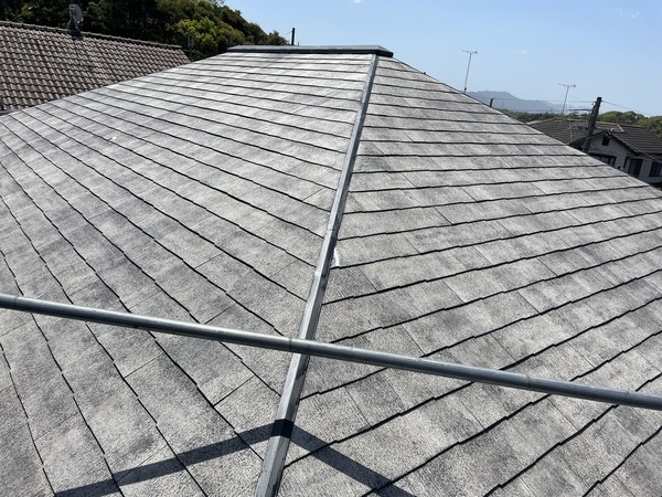 S__25477142_0_コピー