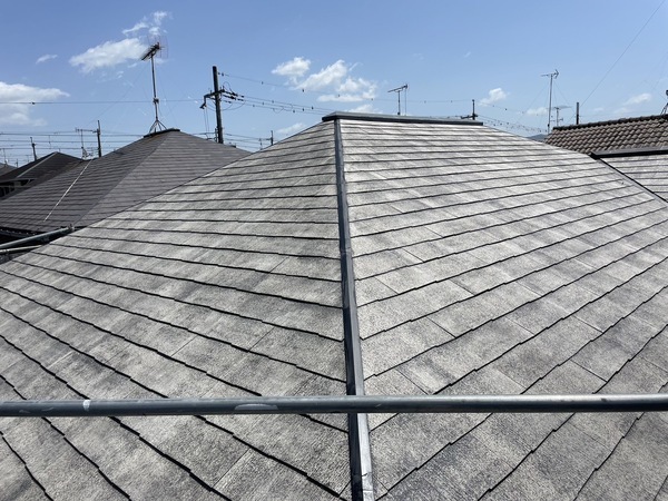 S__25477146_0_コピー