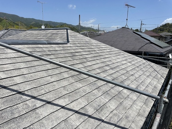 S__25477145_0_コピー