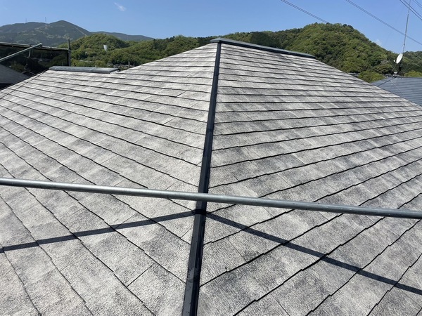 S__25477144_0_コピー