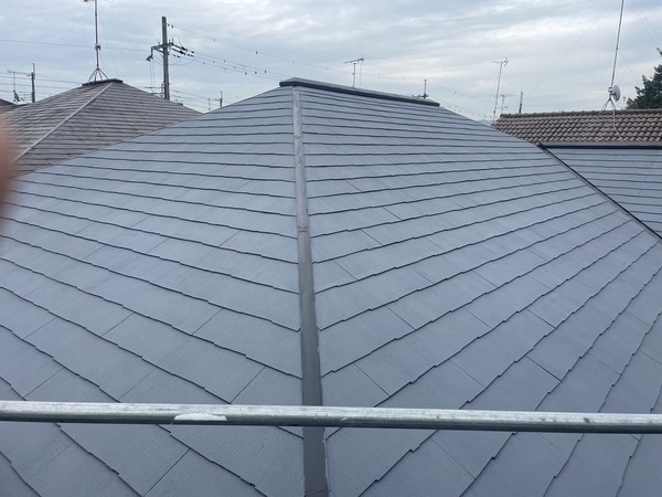 S__25485334_0_コピー