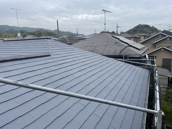 S__25485337_0_コピー