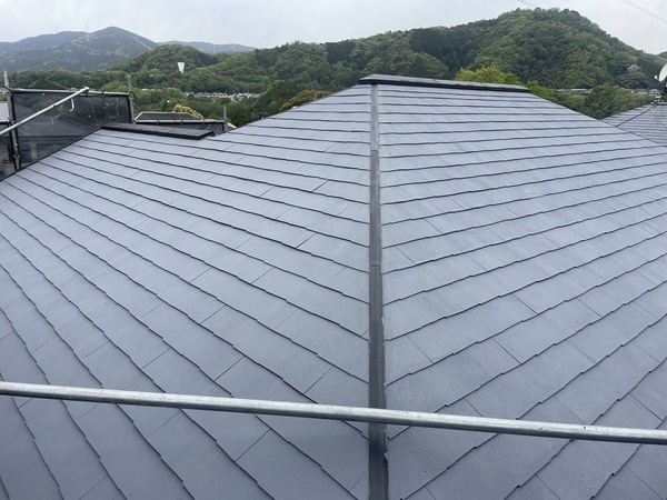 S__25485336_0_コピー