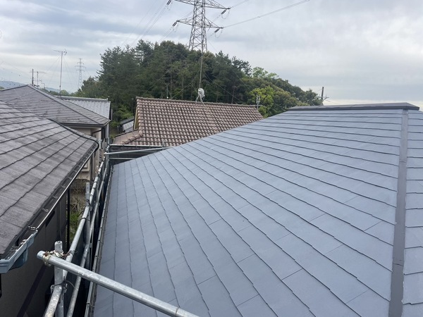 S__25485338_0_コピー