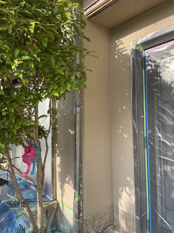 S__25518129_0_コピー