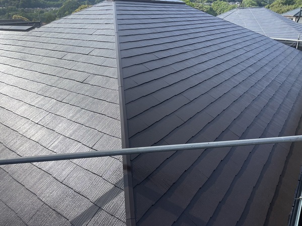 S__25518135_0_コピー