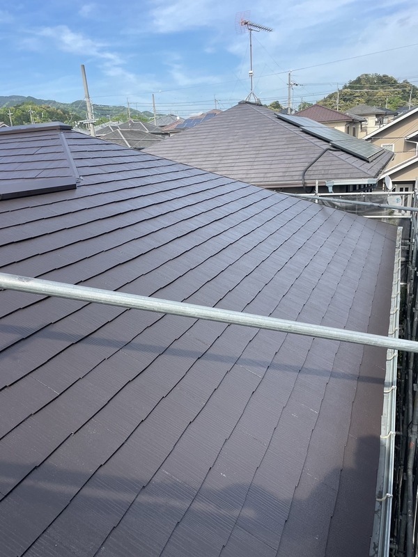 S__25518134_0_コピー