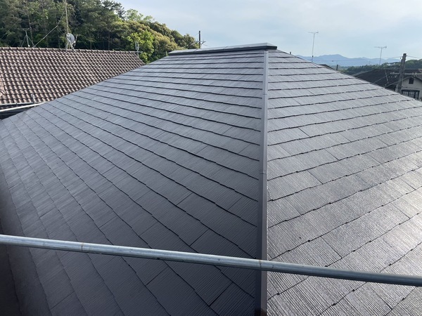 S__25518136_0_コピー