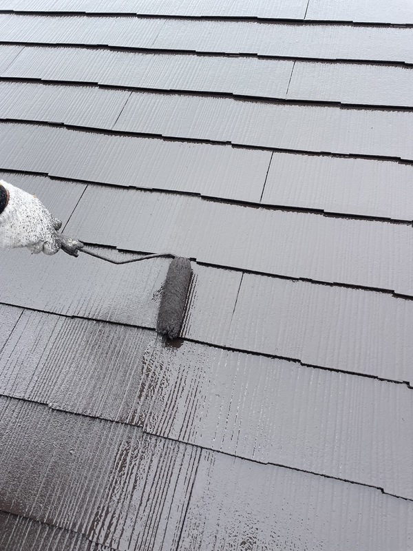 S__25534485_0_コピー