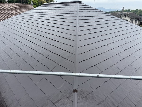 S__25534488_0_コピー