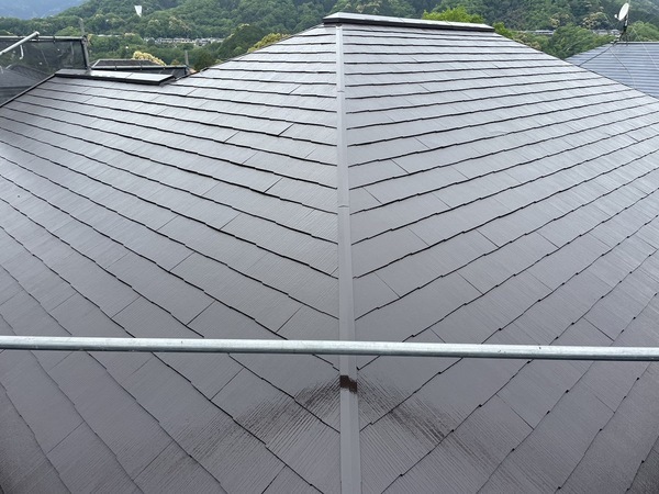 S__25534487_0_コピー