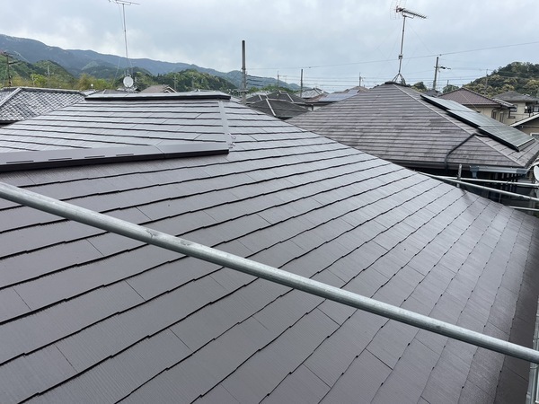 S__25534486_0_コピー