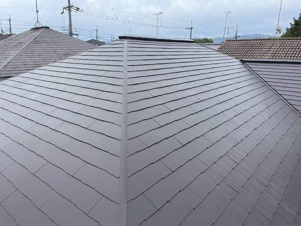 S__25534489_0_コピー