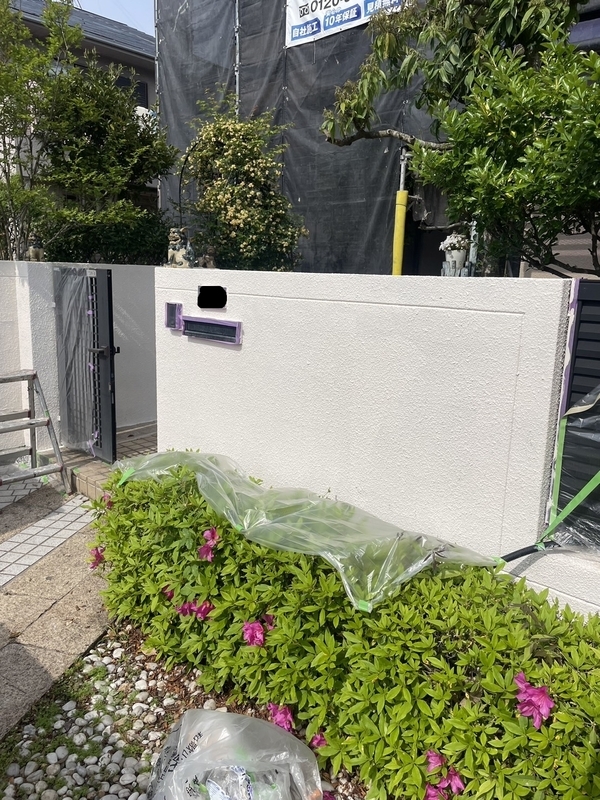 S__25559068_new_コピー