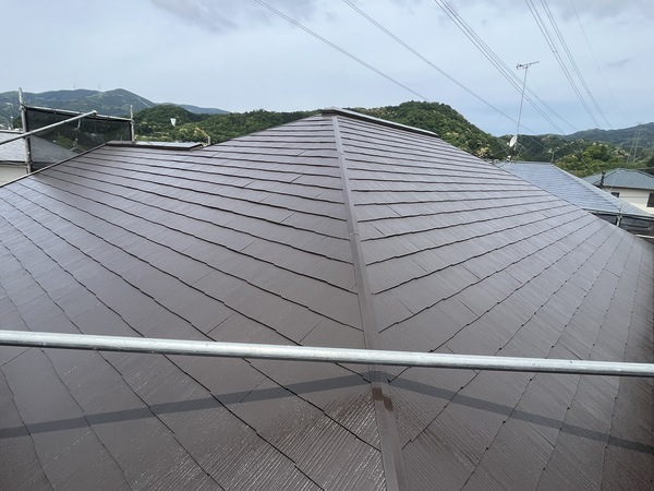 S__107708459_0_コピー