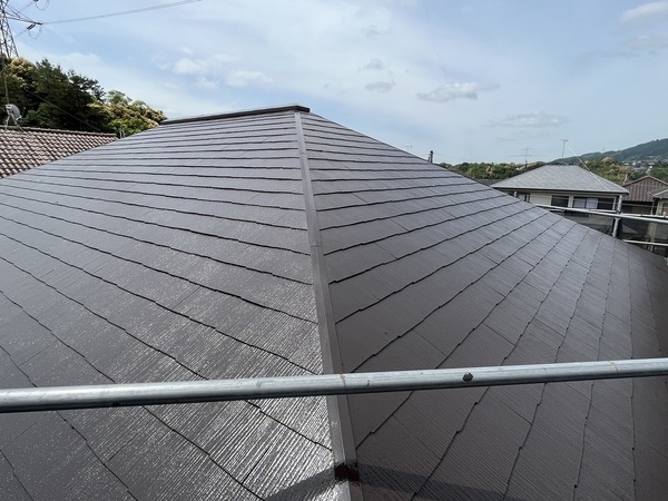 S__107708460_0_コピー