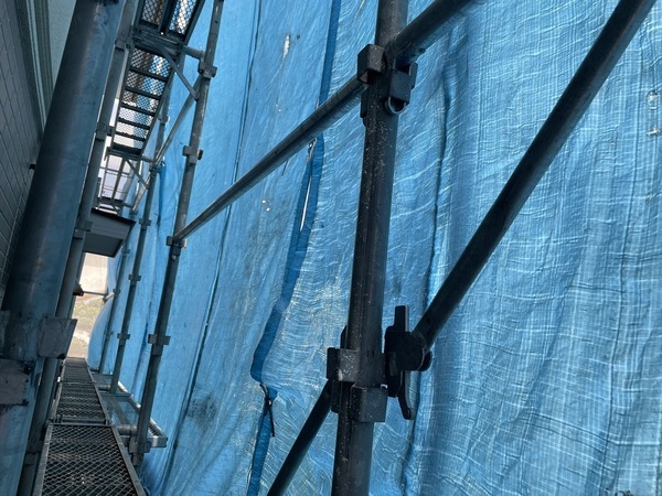 S__16261139_0_コピー