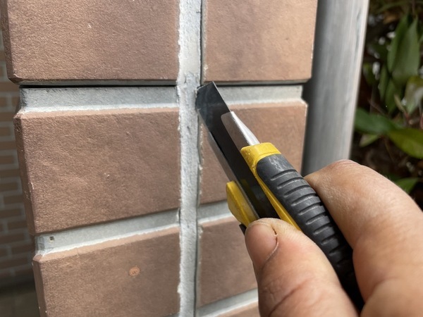 S__16261145_0_コピー