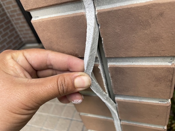 S__16261146_0_コピー