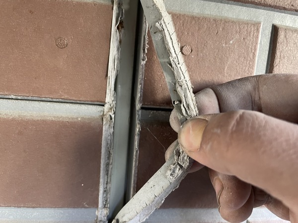 S__16261162_0_コピー