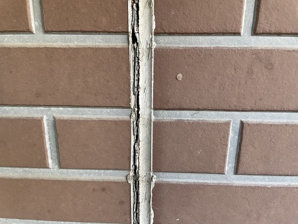 S__16261160_0_コピー