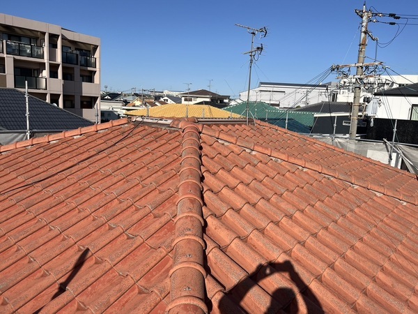 S__48316439_0_コピー