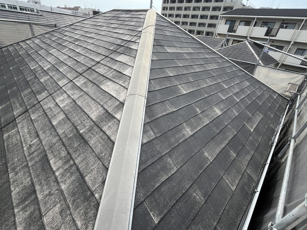 S__108199952_0_コピー