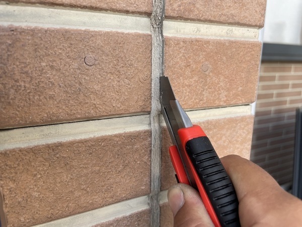 S__16744459_0_コピー