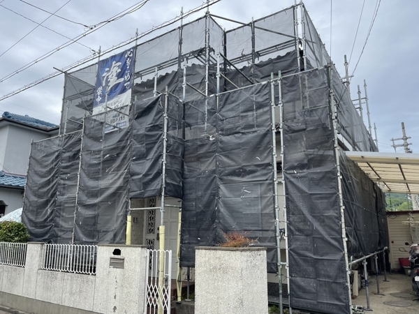 S__207642631_new_コピー