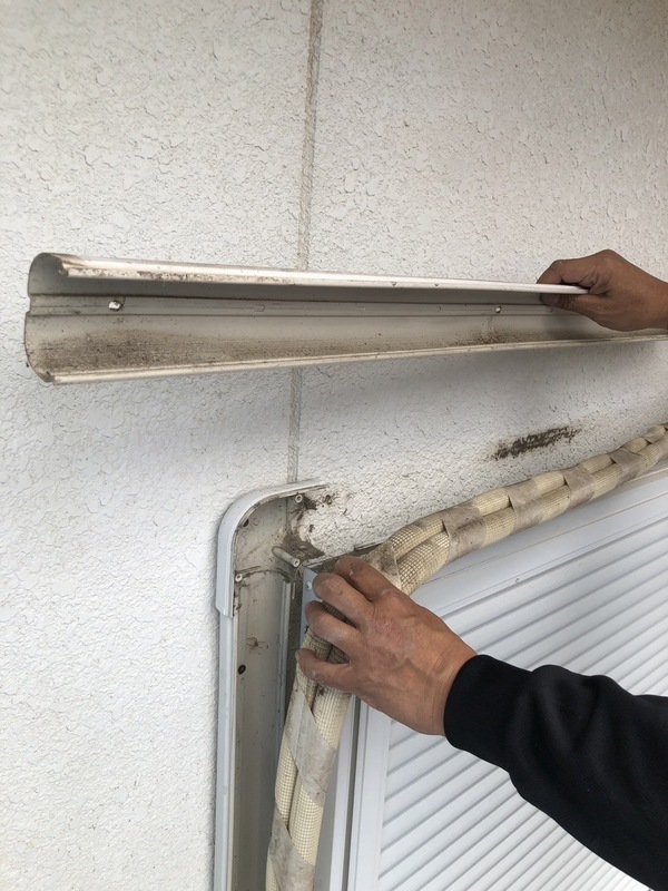 S__93814795_コピー