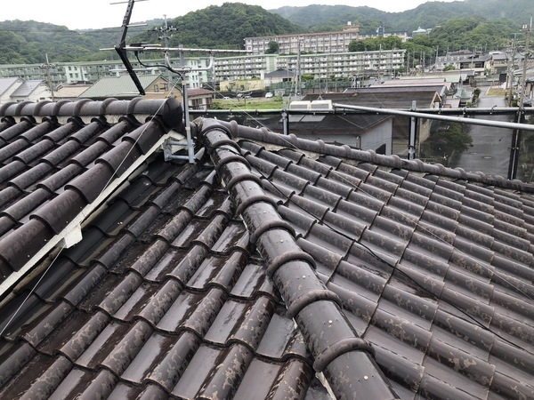 S__120955051_0_コピー