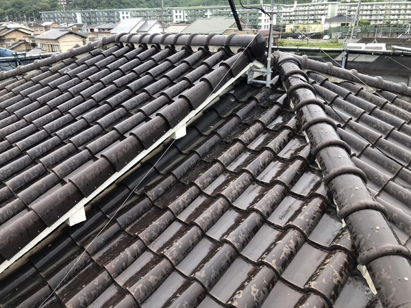 S__120955054_0_コピー