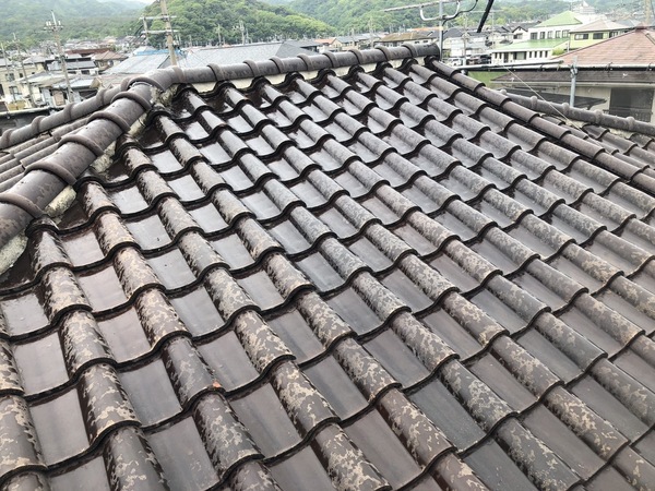 S__120955053_0_コピー