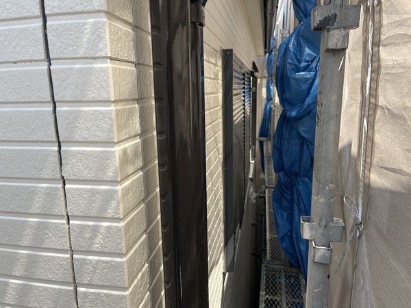 S__108486662_0_コピー