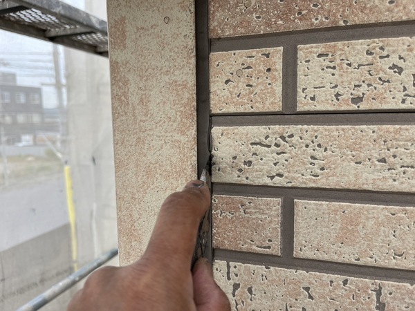 S__49586191_0_コピー