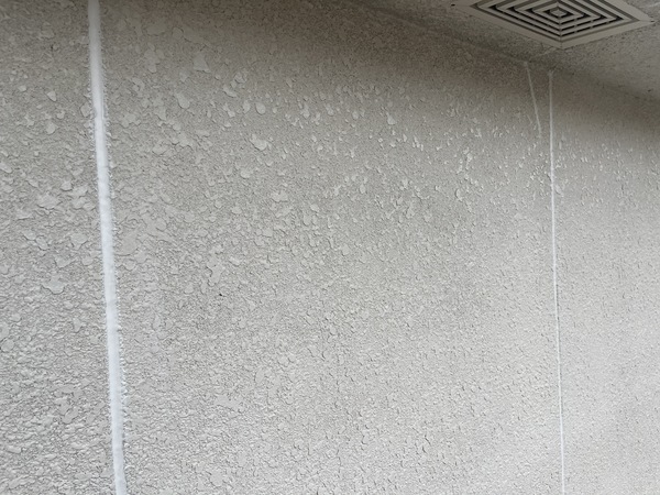 S__108691470_0_コピー