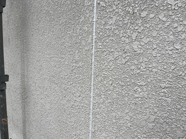 S__108691464_0_コピー