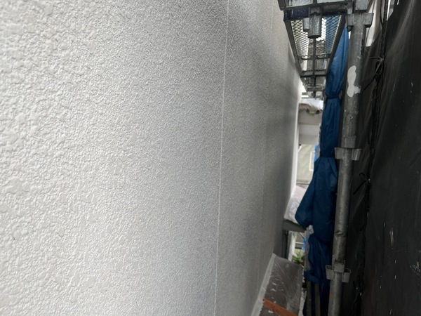 S__108699669_0_コピー