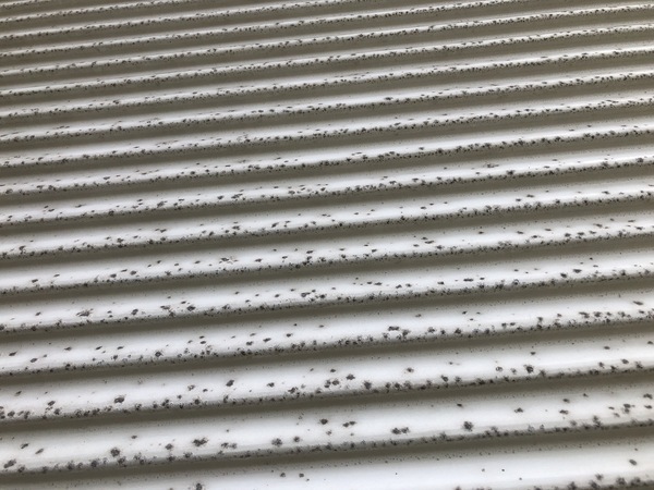 D0191104-90CE-48D9-91C9-E9322E192A6D_コピー