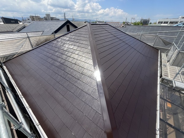 S__49496076_0_コピー