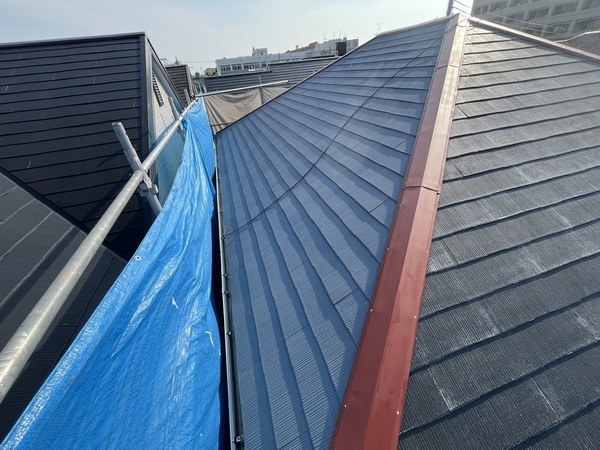 S__49422369_0_コピー