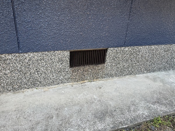 S__108904462_コピー