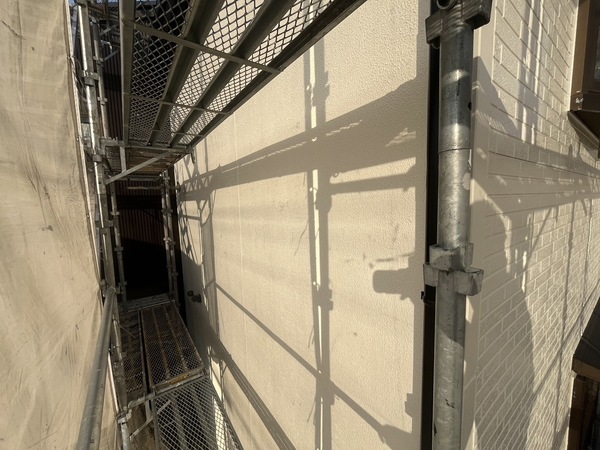 S__49856564_0_コピー