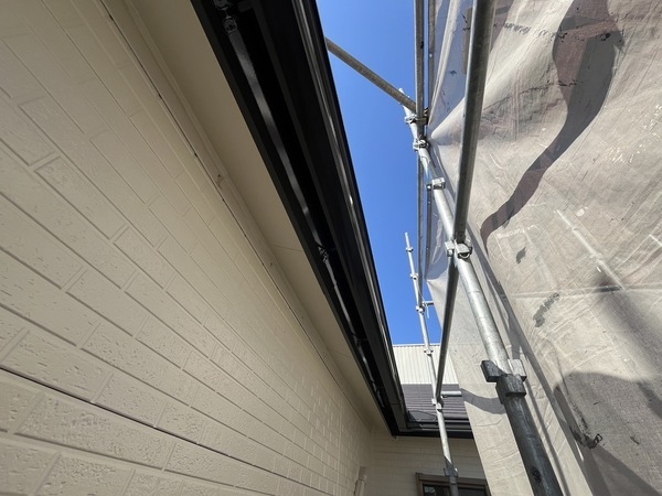 S__49905685_0_コピー