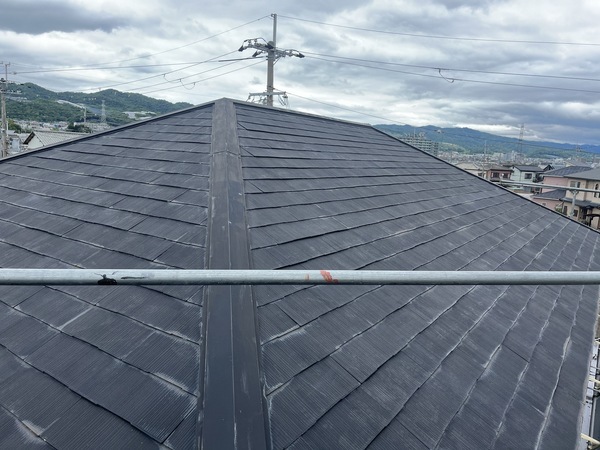 S__109092876_0_コピー