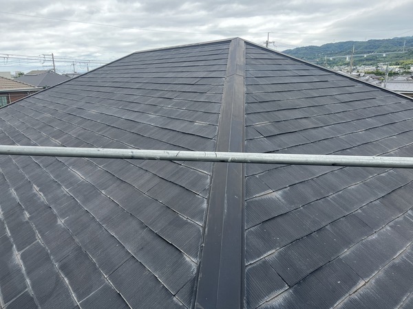 S__109092878_0_コピー