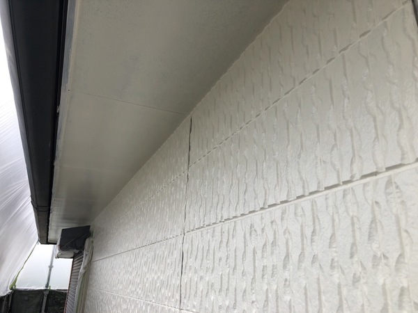 S__123502602_0_コピー