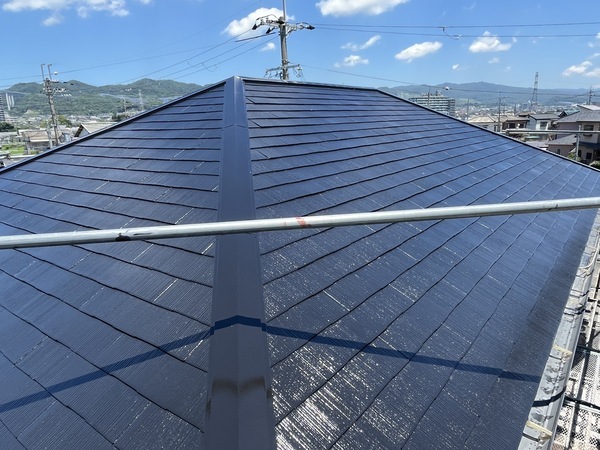 S__109502484_0_コピー