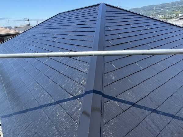 S__109502483_0_コピー