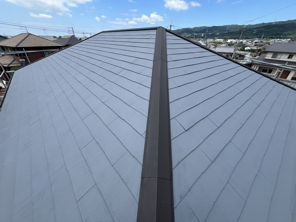 S__50855952_0_コピー